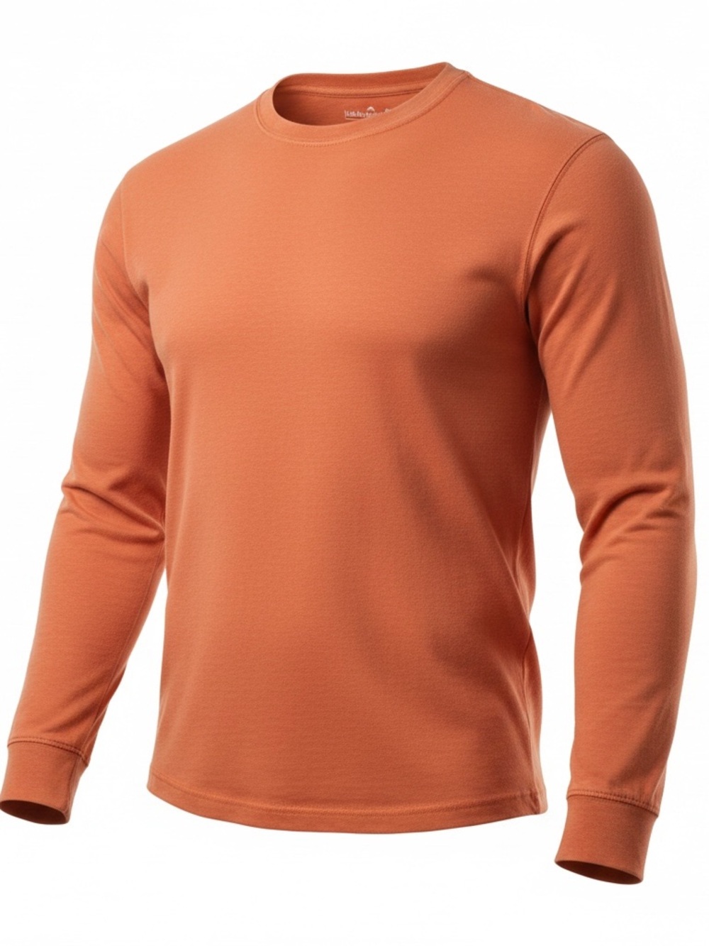 American Eagle Outfitters Long Sleeve Crewneck - Rust